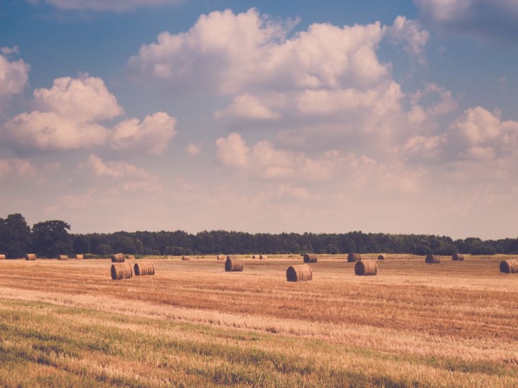 Lato - taka fajna pora roku